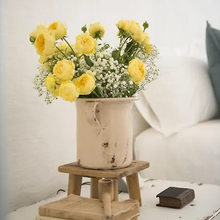 Masseria Le Torri Guest house