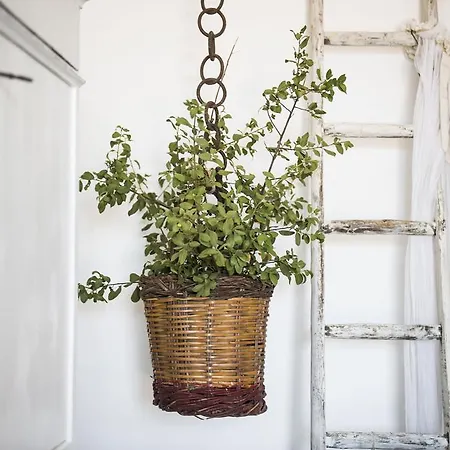 Masseria Le Torri Guest house 4*