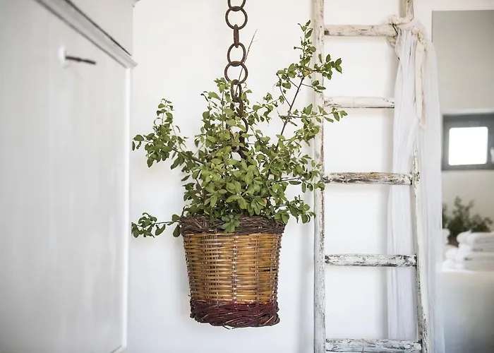Masseria Le Torri Maison d'hôtes 4*