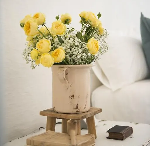 Masseria Le Torri Affittacamere